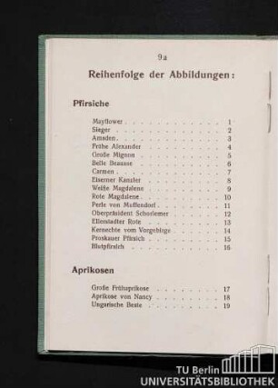 Reihenfolge der Abbildungen: Pfirsiche... Aprikosen...