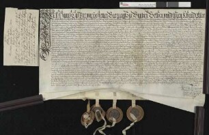 Hans Kaspar von Jestetten verkauft an Hans Christoph Schenk von Castell den Dinghof zu Istein.