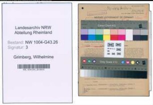 Entnazifizierung Wilhelmine Grimberg , geb. 15.08.1877 ()