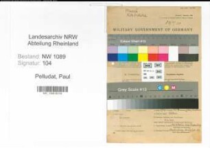 Entnazifizierung Paul Pelludat , geb. 12.07.1890 (Polizeibeamter)