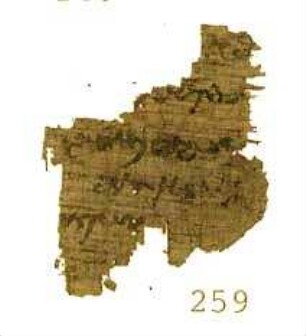 Inv. B Gruppe 5 IIB 259, Köln, Papyrussammlung
