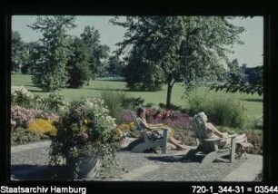 Hammer Park