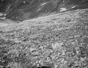 Strukturboden im Hida-Gebirge : Frostmusterboden