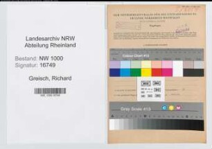 Entnazifizierung Richard Greisch, geb. 10.03.1904 (Zollbeamter)