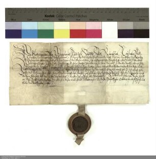 Lehenbrief Joachims [von Gravenegg], Abt von Fulda, für Hans Adam Wiegand über ein freies Gut in Stendorf und weitere im Einzelnen genannte Lehen