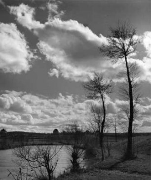 Wolkenbilder. Kahle Bäume mit Wolke. Bäume und Sträucher an einem Gewässer