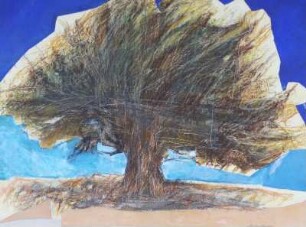 Großer Baum gegen das Licht