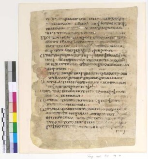 Lk. VI, 17 - 22