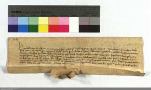 Erasmus Wolmirkhusen Komthur des D.O. zu Marburg präsentiert dem Official zu Amöneburg den Kleriker Peter Hanenkradt für die Pfarrkirche zu Ober W...