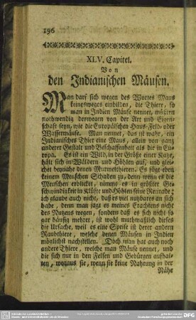 XLV. Capitel. Von den Indianischen Mäusen