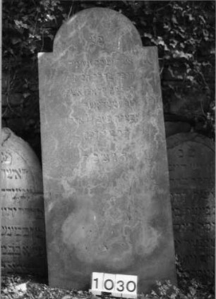 Grabstein 1030 (Index: 99630533) Material: Sandstein Zustand: leicht verwittert Maße HxBxT: 153x65x7 cm Beschreibung: Stele mit eingezogenem Rundbogenabschluß: Grabstein 1030