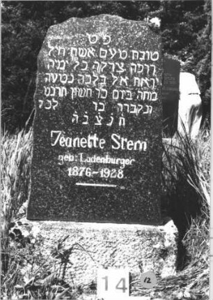 Grabstein 12 (Index: 99805270) Material: Granit, Sockel Kalkstein Zustand: gut Maße HxBxT: 100x48x20 cm Beschreibung: Stele, Sockel, Segmentbogenabschluß: Grabstein 12