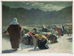 Wunder in der Wüste (Manna)