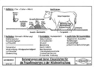 Datengruppen und deren Einzeldaten für die Prozeßsteuerung in der Milchviehhaltung
