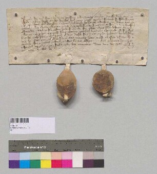 Abt Ulrich und der Konvent von Kloster Hl. Kreuz zu Donauwörth schließen eine Gebetsverbrüderung mit Kloster Seeon. S1: Abt Ulrich v. Kl. Hl. Kreuz zu Donauwörth, S2: Konvent v. v. Kl. Hl. Kreuz zu Donauwörth