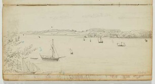 Förde mit Segelschiffen