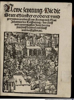 Newe zeyttung, Wie die Statt Münster eroberet vnnd gewunnen worden ist, am Freytag nach Sant Johannes des Teuffers tag, den fünff vnd zwayntzigsten Junij, des tausent fünff hundert vnd fünff vnddreissigsten jar