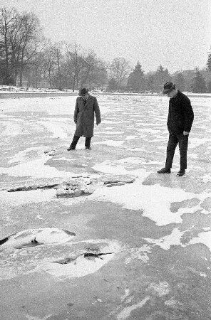 Stadtgartensee im Winter.