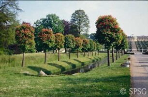 Potsdam, Park Sanssouci, Kastanien an den Stichgräben.