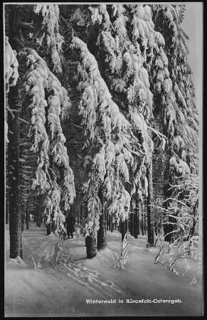 Bärenfels. Winter in Bärenfels