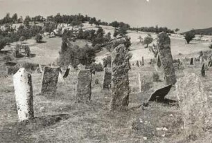 Ost-Rhodopen, Bulgarien. Mohameddanischer Friedhof an der Straße Adino - Kobiljane
