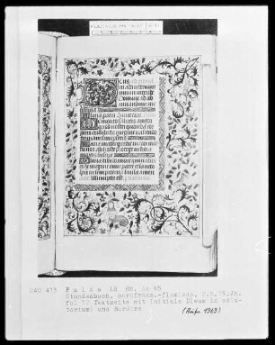 Stundenbuch, ad usum Romanum — Initiale D (eus) mit Rankenbordüre, Folio 72 recto