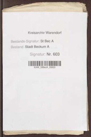 Bernhard Wibbert und Everhard Topff ./. Hermann Lemgoe, Kanoniker, wegen Beleidigung