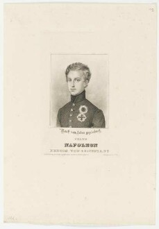 Bildnis des Franz Napoleon