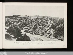 17. Zerschnittene Hügellandschaft
