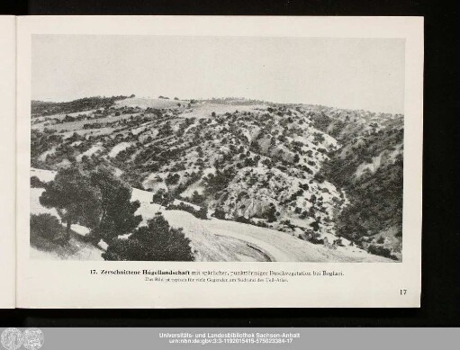 17. Zerschnittene Hügellandschaft