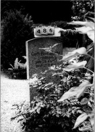 Grabstein 485