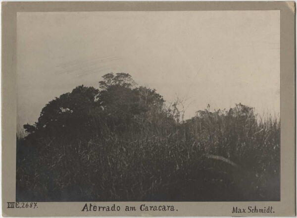 Aterrado sur le Caracara