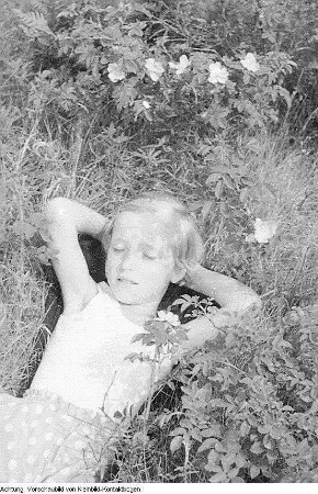 Dranske-Nonnevitz, Ostseeurlaub, Lagerfeuer, Holunder, 1955