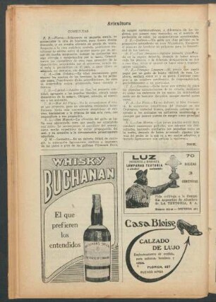Avicultura : Consultas