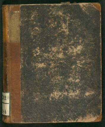 2. Bd.: Der beseelte Schatten : Roman