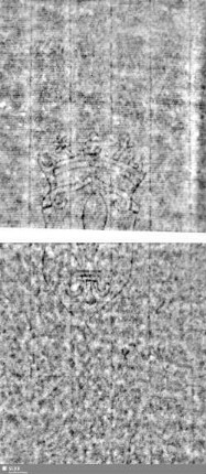 Lilienschild + IESV / LW = Bd.1., S.27/28+79/80