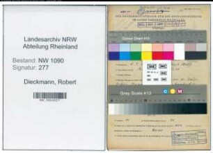 Entnazifizierung Robert Dieckmann , geb. 02.04.1908 (Drogist)