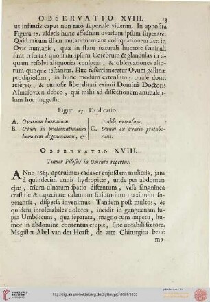 Observatio XVIII