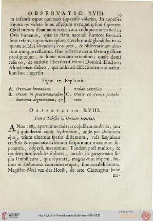 Observatio XVIII