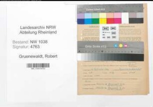 Entnazifizierung Robert Gruenewaldt , geb. 23.09.1886 (Beamter)