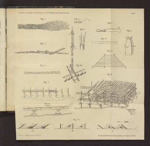 Tafel I. Fig. 1. bis Fig. 12.