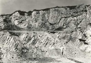 Kahlbusch bei Dohna. Geologisches Naturdenkmal Porphyrklippen (Steinbruch) mit sedimentgefüllten Brandungshöhlen des Kreidemeeres (Plenuszone)