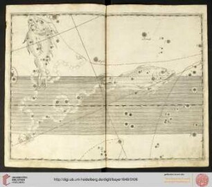 Tafel 33: Pisces (Fische)