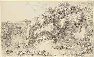Weidende Schafe und Ziegen an einem Wasserfall
