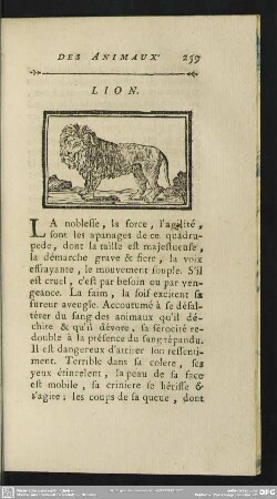 Lion