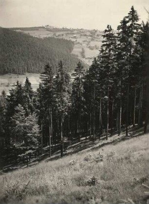 Vogtland. Aschberg (936 m) bei Klingenthal. Blick vom Hang des Scheibenberges bei Steindöbra