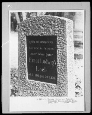 Grabstein von Ernst Ludwig Loeb (+ 1914.11.23)