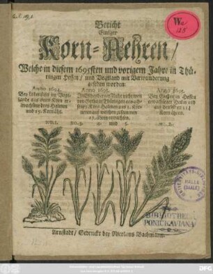 Bericht Einiger Korn-Aehren/ Welche in diesem 1695sten und vorigem Jahre in Thüringen Hessen/ und Vogtland mit Verwunderung gesehen worden ...