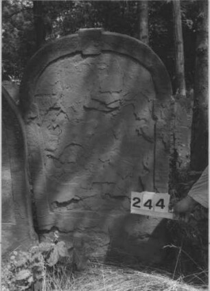 Grabstein 244