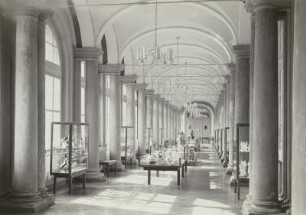 Dresden: Porzellansammlung im Zwinger, Langgalerie Juli 1952, China-Vasen